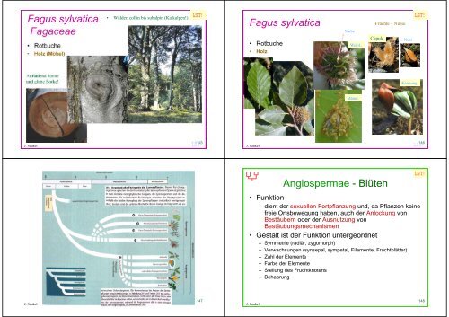 Biologie f. Pharmazeuten - PharmXplorer