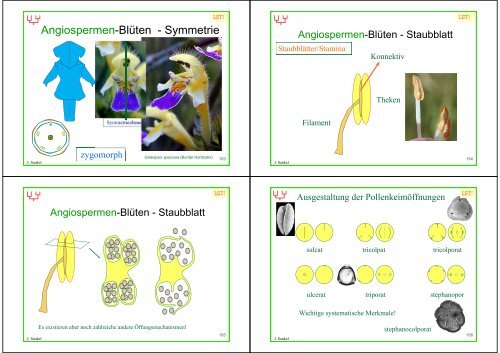 Biologie f. Pharmazeuten - PharmXplorer