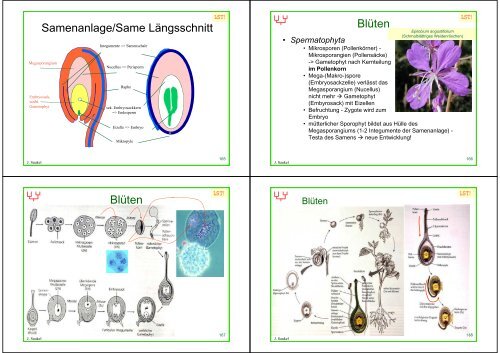 Biologie f. Pharmazeuten - PharmXplorer