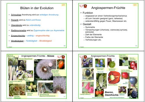 Biologie f. Pharmazeuten - PharmXplorer