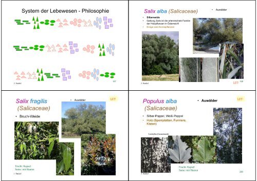 Biologie f. Pharmazeuten - PharmXplorer