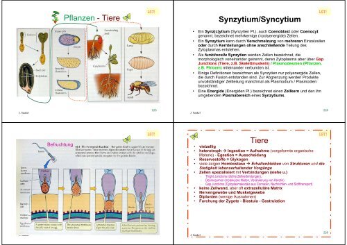 Biologie f. Pharmazeuten - PharmXplorer