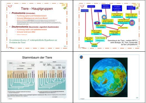 Biologie f. Pharmazeuten - PharmXplorer