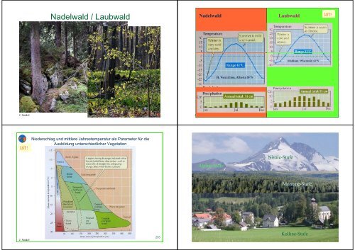 Biologie f. Pharmazeuten - PharmXplorer