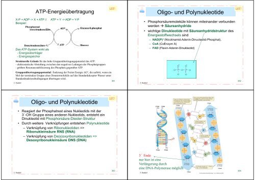 Biologie f. Pharmazeuten - PharmXplorer