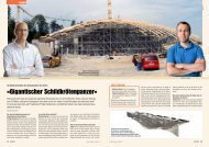 «Gigantischer Schildkrötenpanzer» - Plattform Zukunft Bau