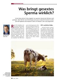 Was bringt gesextes Sperma wirklich? - Elite