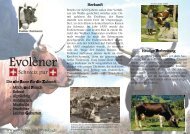 Rasse Evolène - Swissherdbook
