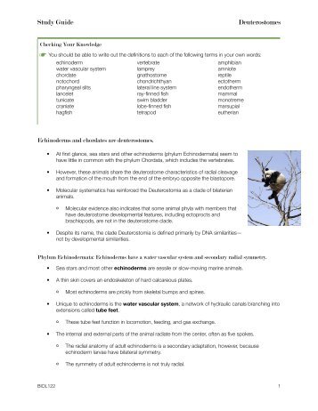 122 [Study Guide] 34-1 Deuterostomes