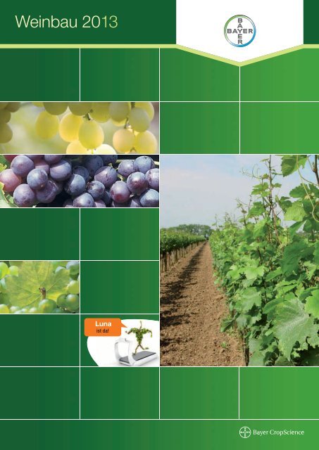 Weinbau 2013 - Bayer CropScience Österreich GmbH - Bayer Austria