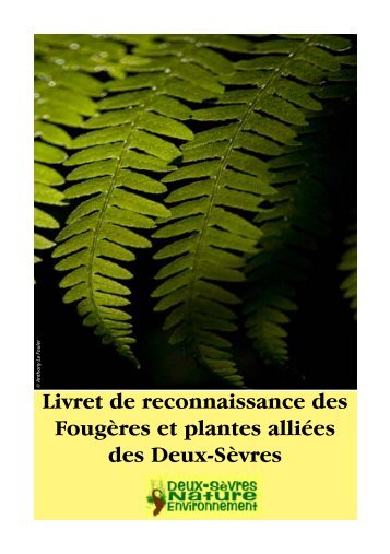 Livret de reconnaissance des Fougères et plantes alliées des Deux ...