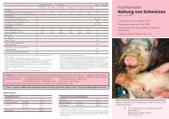 Haltung von Schweinen: Kurzinfo - Amt für Verbraucherschutz und ...