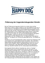 Fütterung der tragenden oder säugenden Hündin - Happy Dog