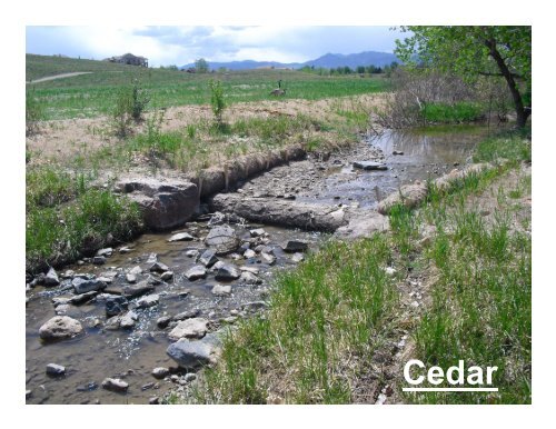 Stream Restoration Using Natural Logs and Sculpted Concrete Logs ...