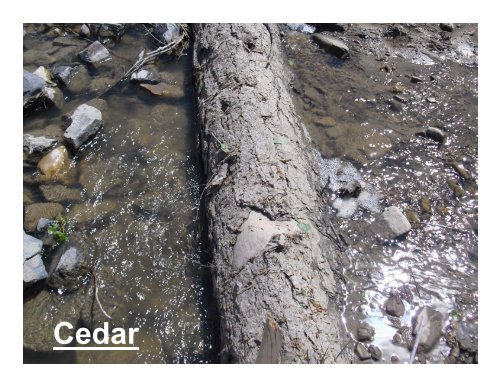 Stream Restoration Using Natural Logs and Sculpted Concrete Logs ...