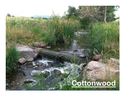 Stream Restoration Using Natural Logs and Sculpted Concrete Logs ...