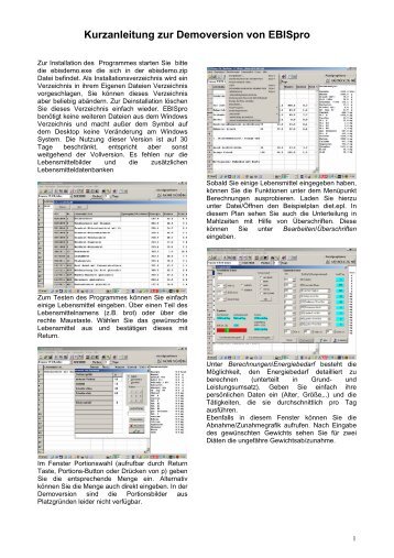 Kurzanleitung zur Demoversion von EBISpro - NutriSurvey