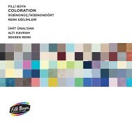 Filli Boya Coloration 2013-2014 Renk Eğilimleri
