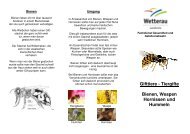 Flyer, Bienen, Wespen, Hornissen und Hummeln - Der Wetteraukreis