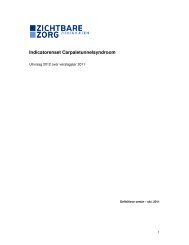 Indicatorenset Carpaletunnelsyndroom - Zichtbare Zorg