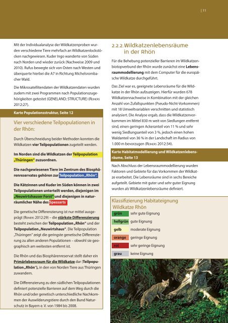Aktionsplan Wildkatze Rhön - RhönNatur