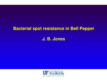 Bacterial Spot Resisatnce in Bell Peppers - Georgia Fruit ...