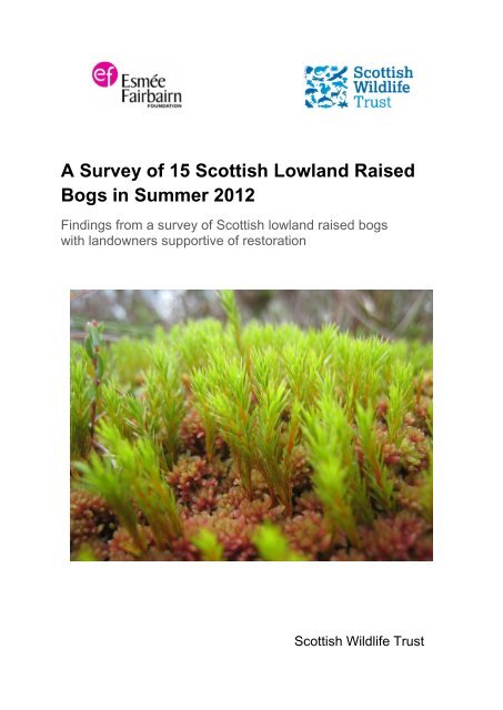 A Survey of 15 Scottish Lowland Raised Bogs in Summer 2012