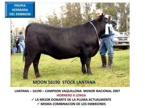 ORCA T/E - Cabaña La Pluma de Firpo