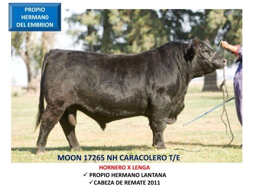 ORCA T/E - Cabaña La Pluma de Firpo