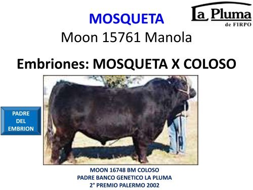 ORCA T/E - Cabaña La Pluma de Firpo