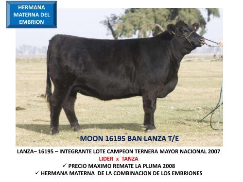 ORCA T/E - Cabaña La Pluma de Firpo
