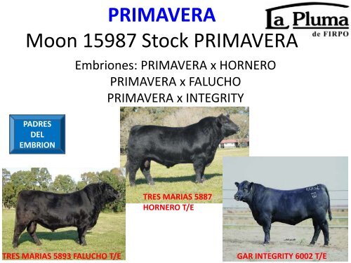 ORCA T/E - Cabaña La Pluma de Firpo
