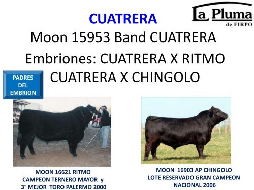 ORCA T/E - Cabaña La Pluma de Firpo
