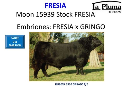 ORCA T/E - Cabaña La Pluma de Firpo