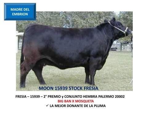 ORCA T/E - Cabaña La Pluma de Firpo