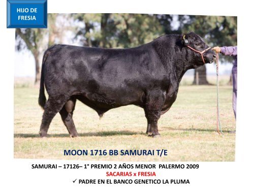ORCA T/E - Cabaña La Pluma de Firpo