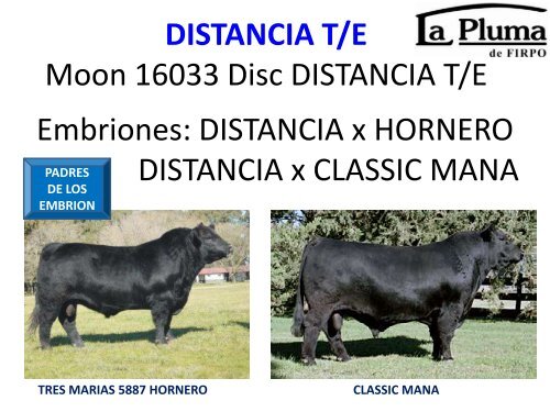ORCA T/E - Cabaña La Pluma de Firpo