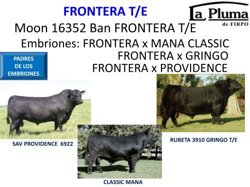 ORCA T/E - Cabaña La Pluma de Firpo