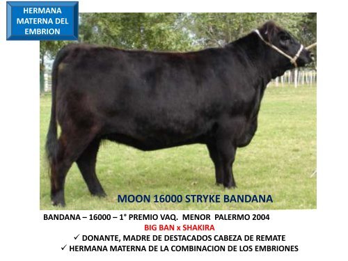 ORCA T/E - Cabaña La Pluma de Firpo