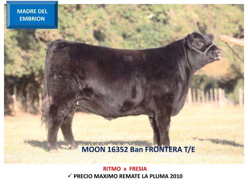 ORCA T/E - Cabaña La Pluma de Firpo
