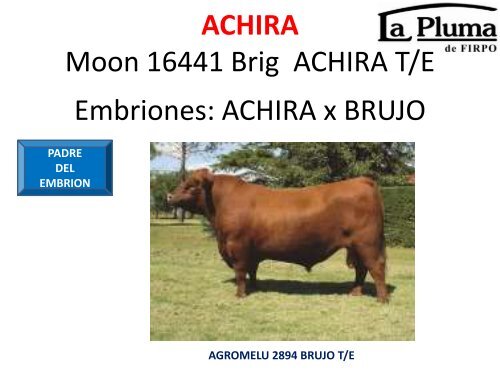 ORCA T/E - Cabaña La Pluma de Firpo