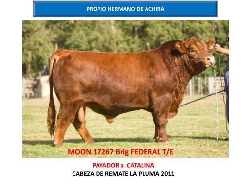 ORCA T/E - Cabaña La Pluma de Firpo