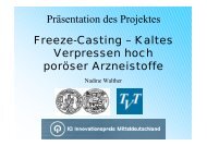 Präsentation des Projektes Freeze-Casting – Kaltes Verpressen ...