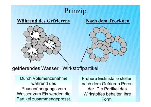 Präsentation des Projektes Freeze-Casting – Kaltes Verpressen ...