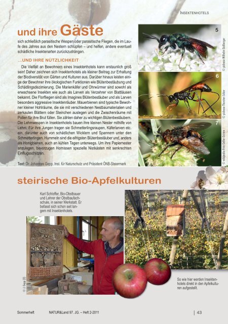 Insektenhotels Die - Naturschutzbund