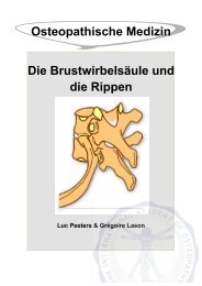 Osteopathische Medizin Die Brustwirbelsäule und die Rippen