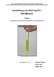 Extraktion der menschlichen DNA aus Mundspeichel - Staatliches ...