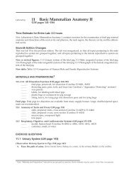 11 Basic Mammalian Anatomy II