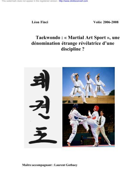Taekwondo Martial Art Sport Une Denomination Etrange