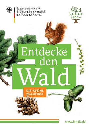 Die Waldfibel PDF - Waldkulturerbe.de